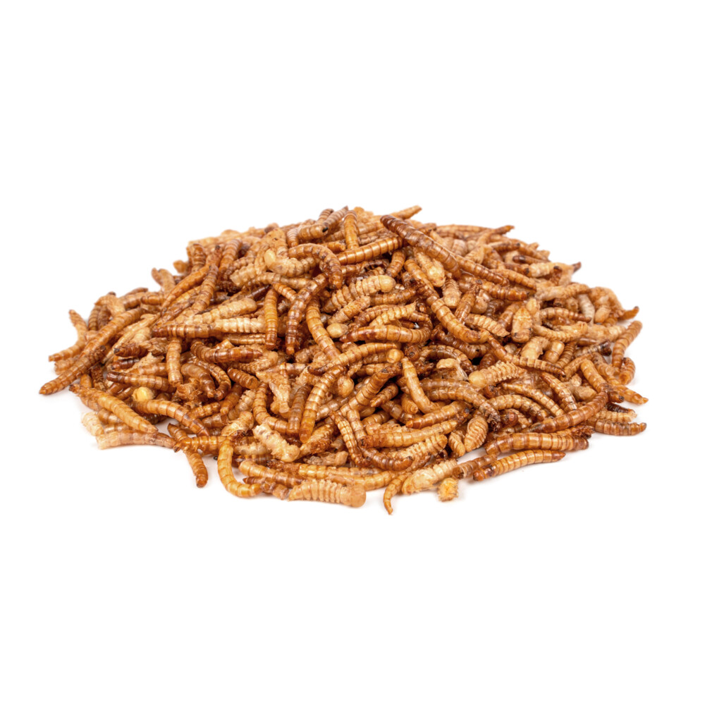 Deli Nature Chix Meelwormen200 gr