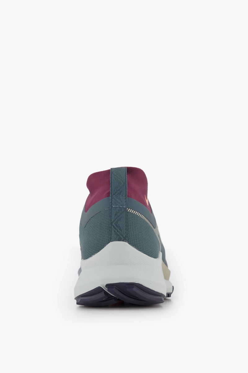 Nike Pegasus Trail 4 Gore-Tex® Herren Trailrunningschuh