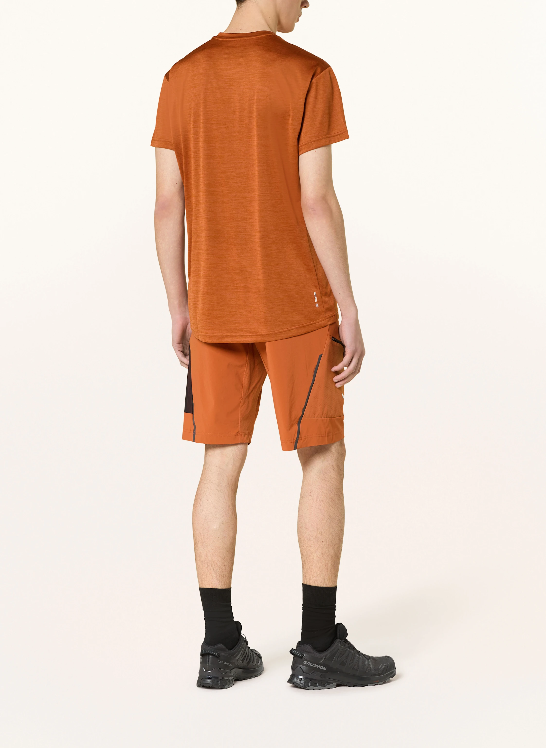 SALEWA T-Shirt PUEZ MELANGE DRY'TON
