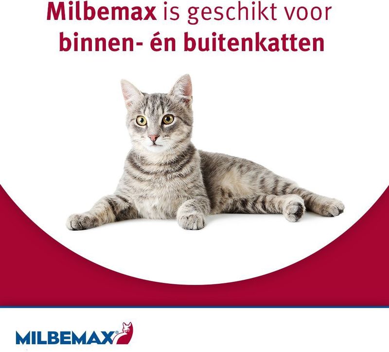 2 Tabletten Milbemax Ontworming voor Katten - BE