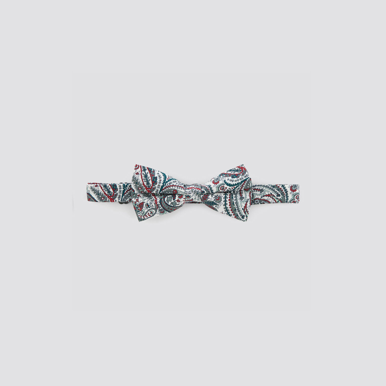 Noeud papillon Multicolore