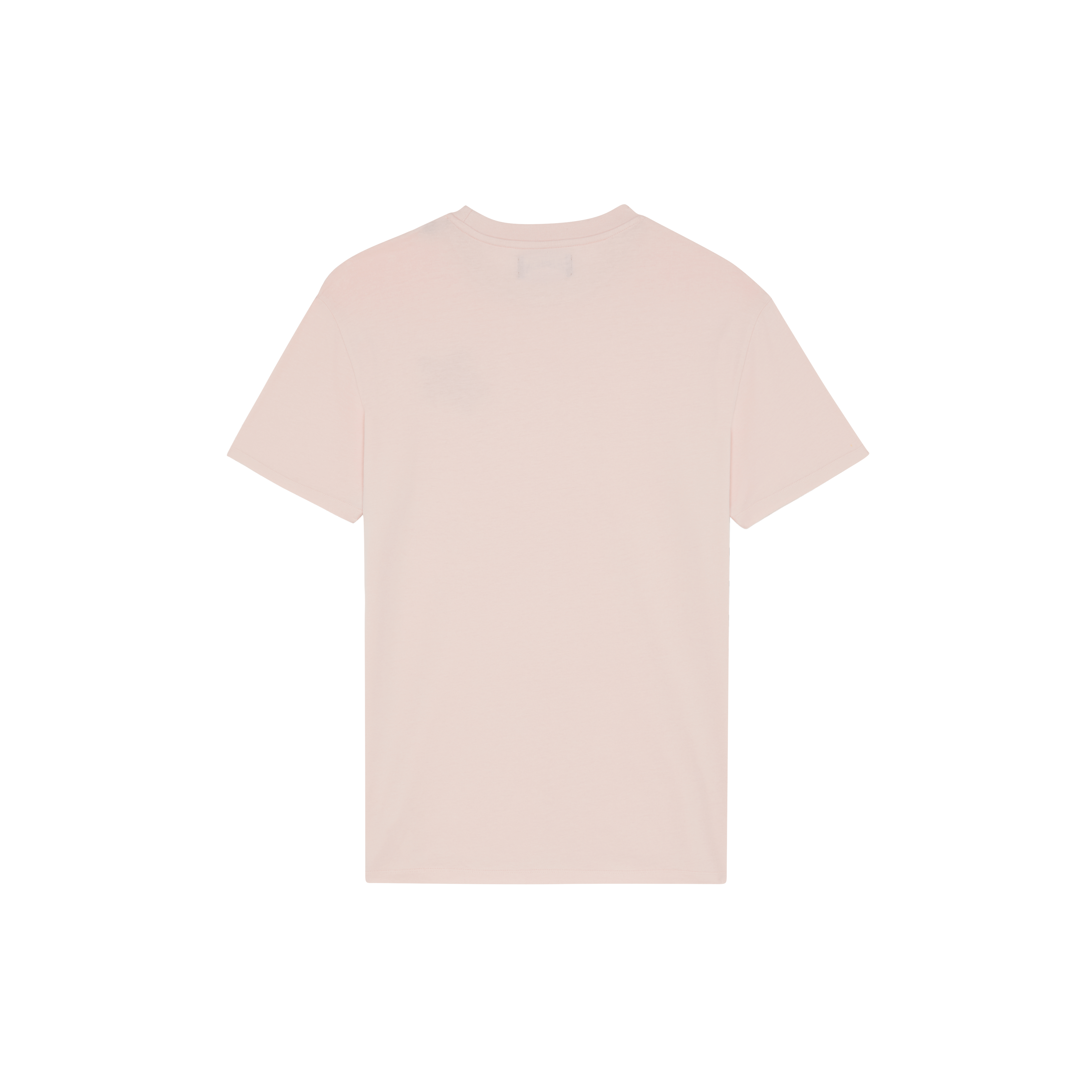 T-shirt en coton organique homme Tortue brodée