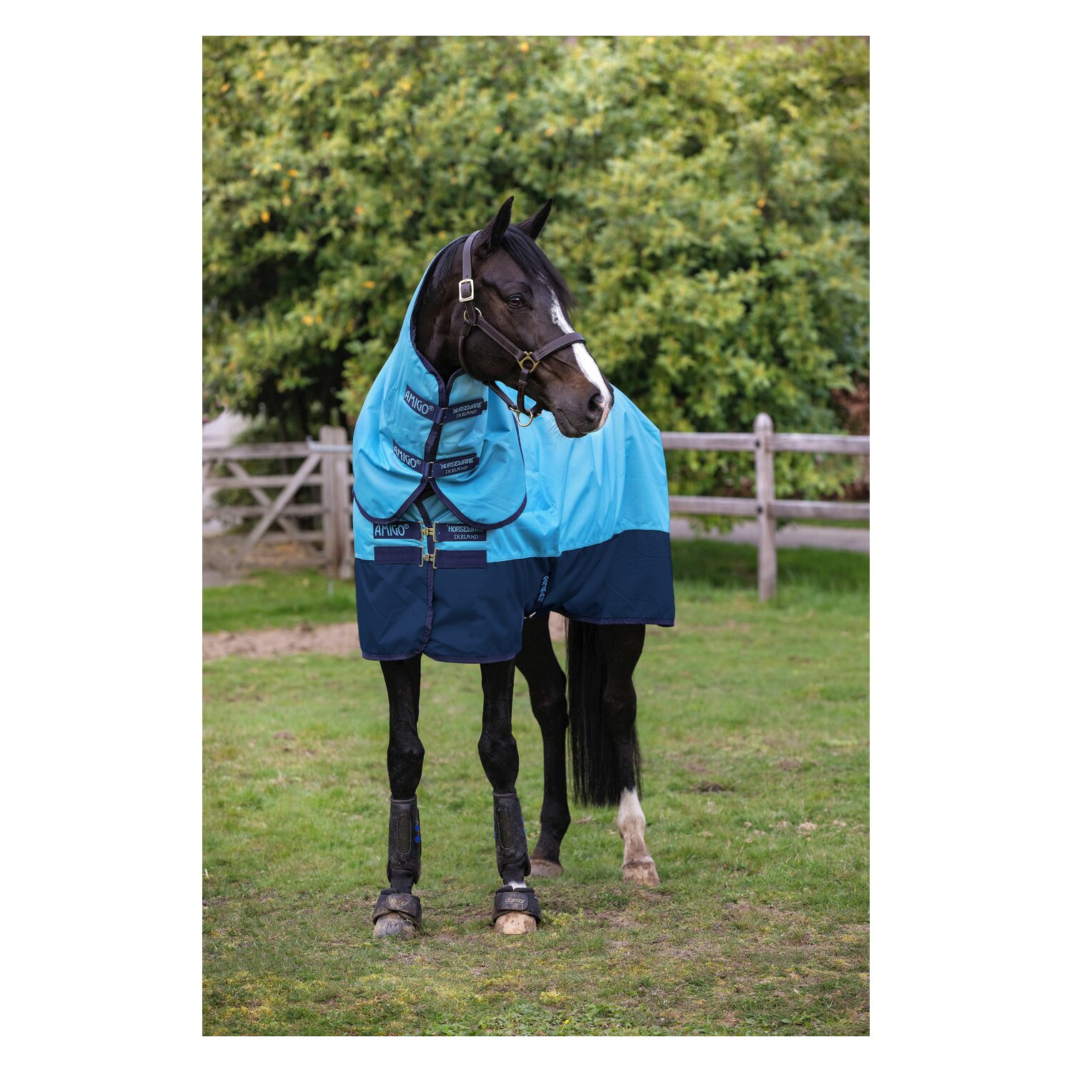 HORSEWARE Weidedecke Amigo Hero Ripstop Plus 50 g - delfinblau/navy - 155 cm