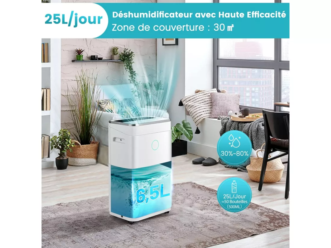 Déshumidificateur 25L/Jour Réservoir d'Eau 6,5L Minuterie 24H 2 Modes 2 Vitesses Dégivrage Automatique Pièces jusqu'à 30 m²