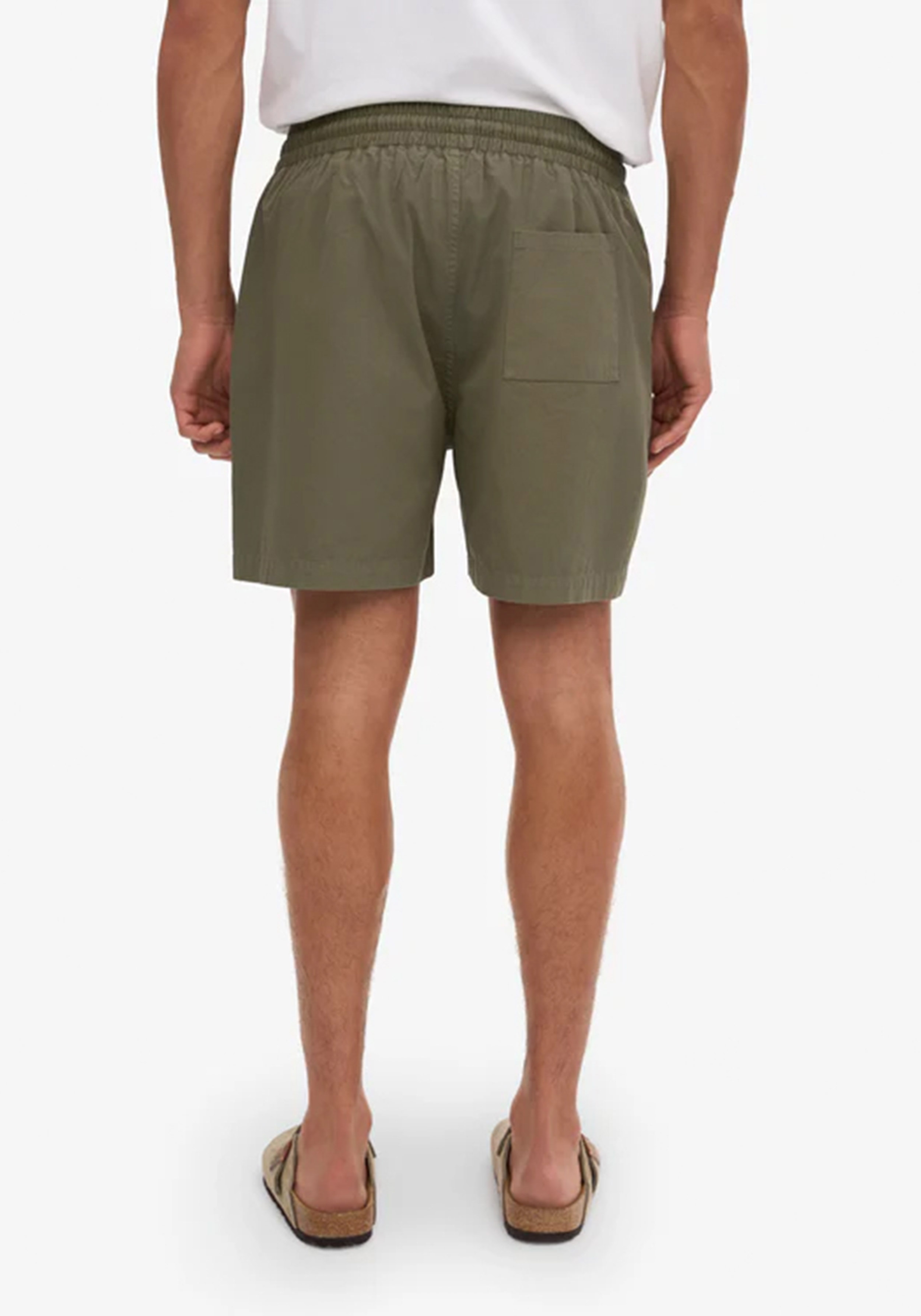 Colorful Standard Herren-Twill-Shorts Dusty Olive