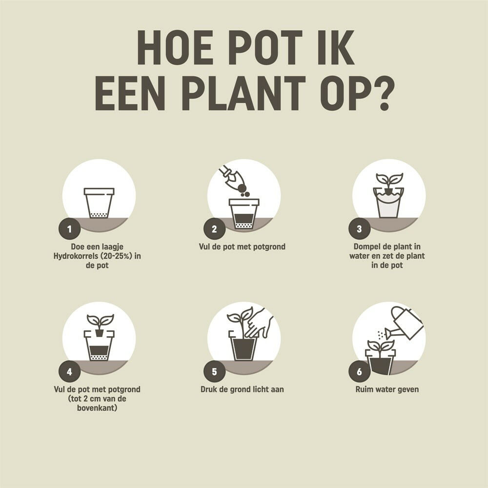 Pokon Orchidee Potgrond Orchidee5 liter