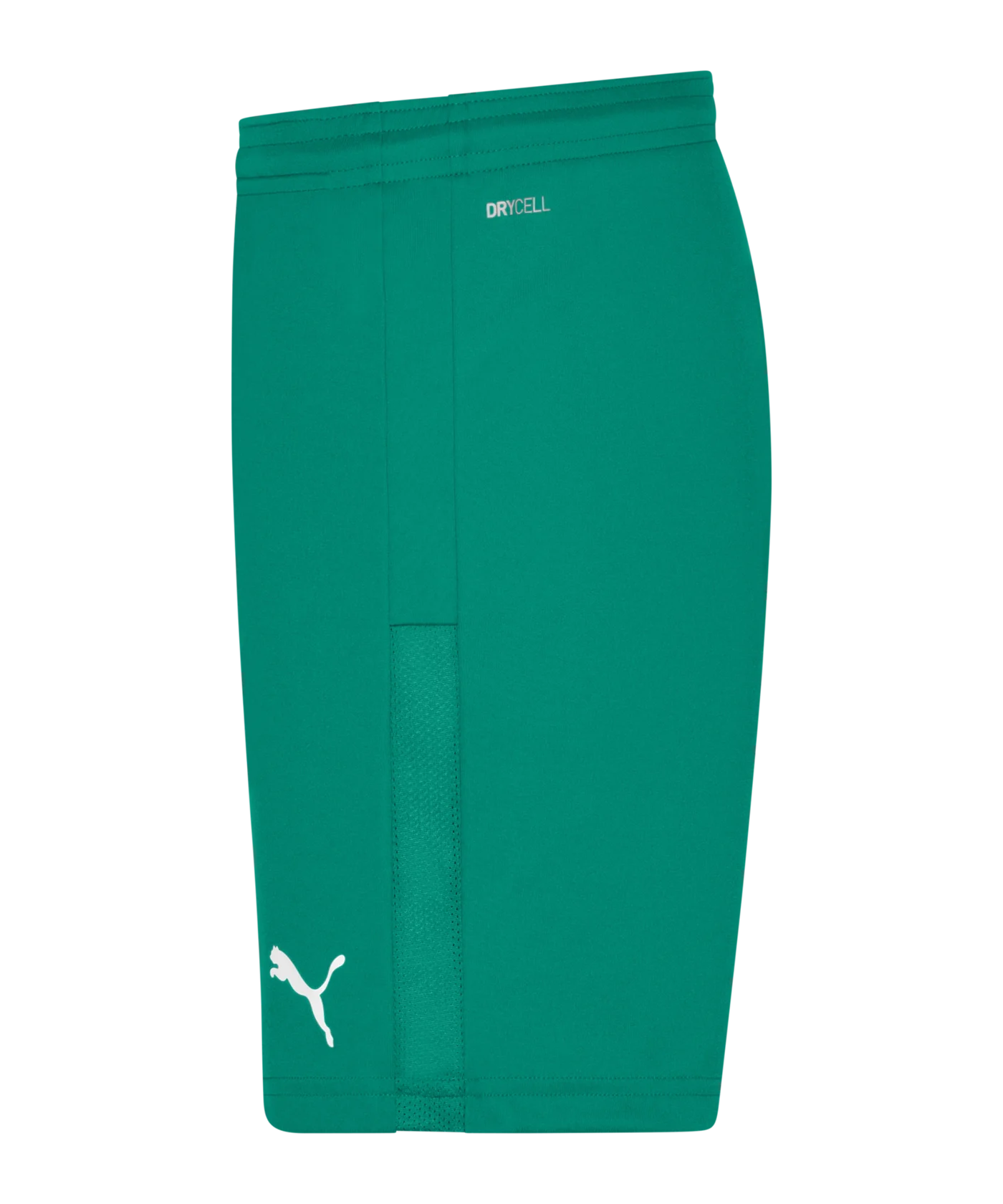 PUMA teamGOAL 23 Knit Shorts Damen Grün F05