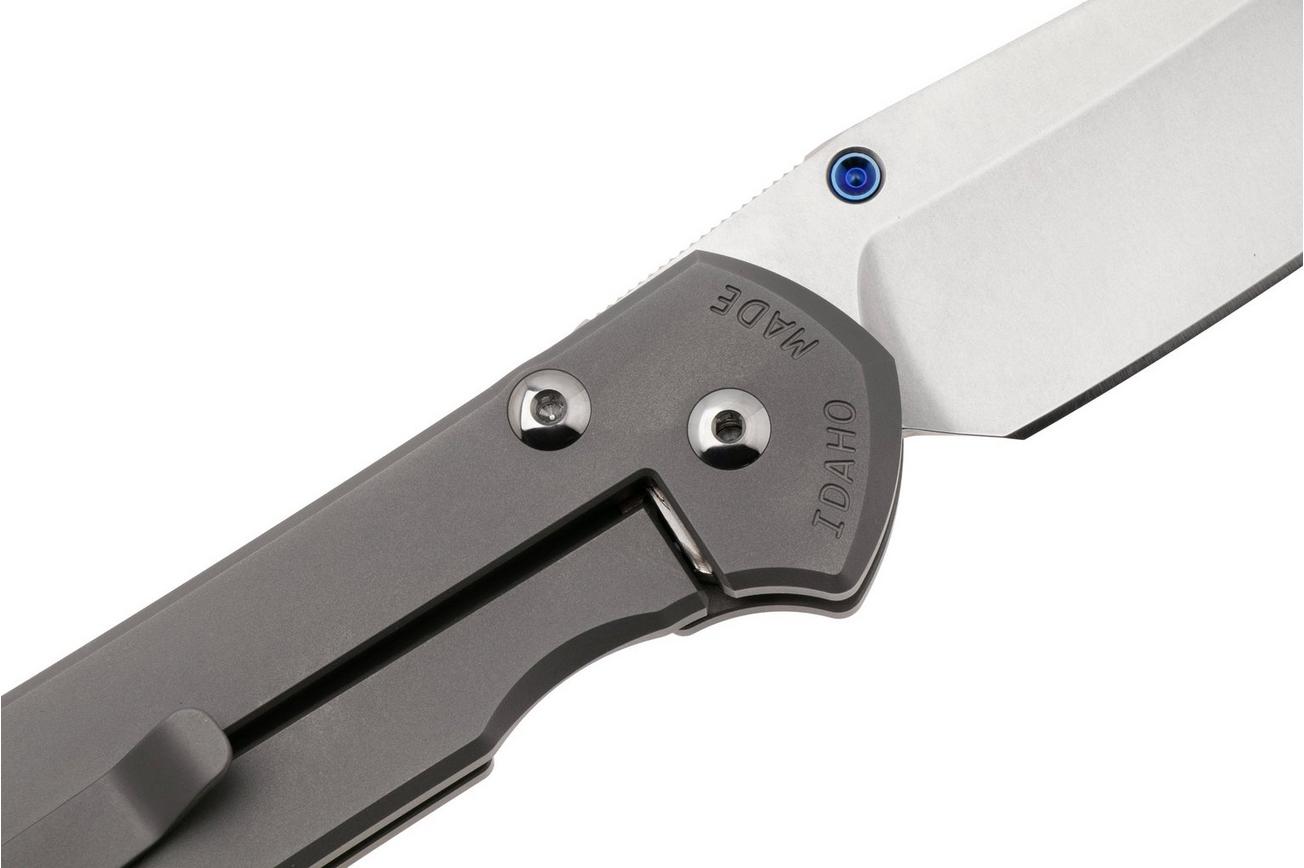 Chris Reeve Sebenza 31 Large Plain Glass Blasted Insingo L31-1685 zakmes