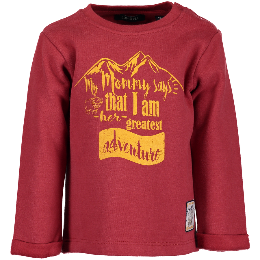 BLUE SEVEN Boys Sweatshirt dunkelrot
