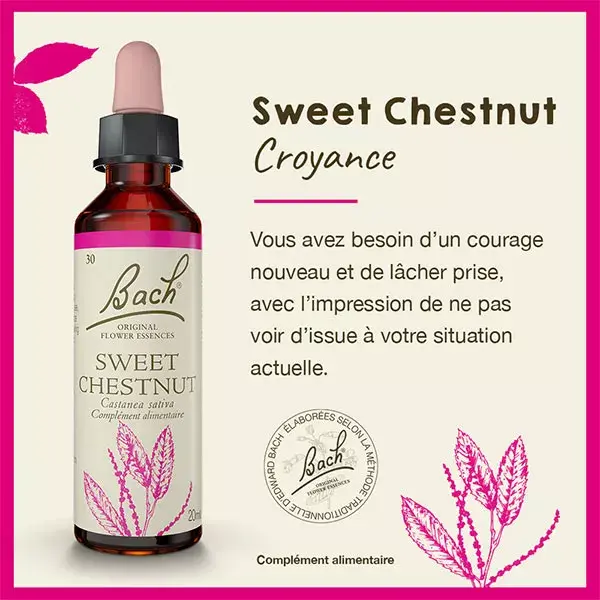 Fleurs de Bach Original - Sweet Chestnut 20ml