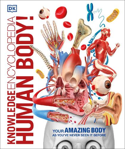 Knowledge Encyclopedia Human Body! - DK Knowledge Encyclopedias (Hardback)