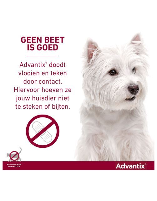 Advantix Spot On 100 1 ml - Anti vlooien en tekenmiddel