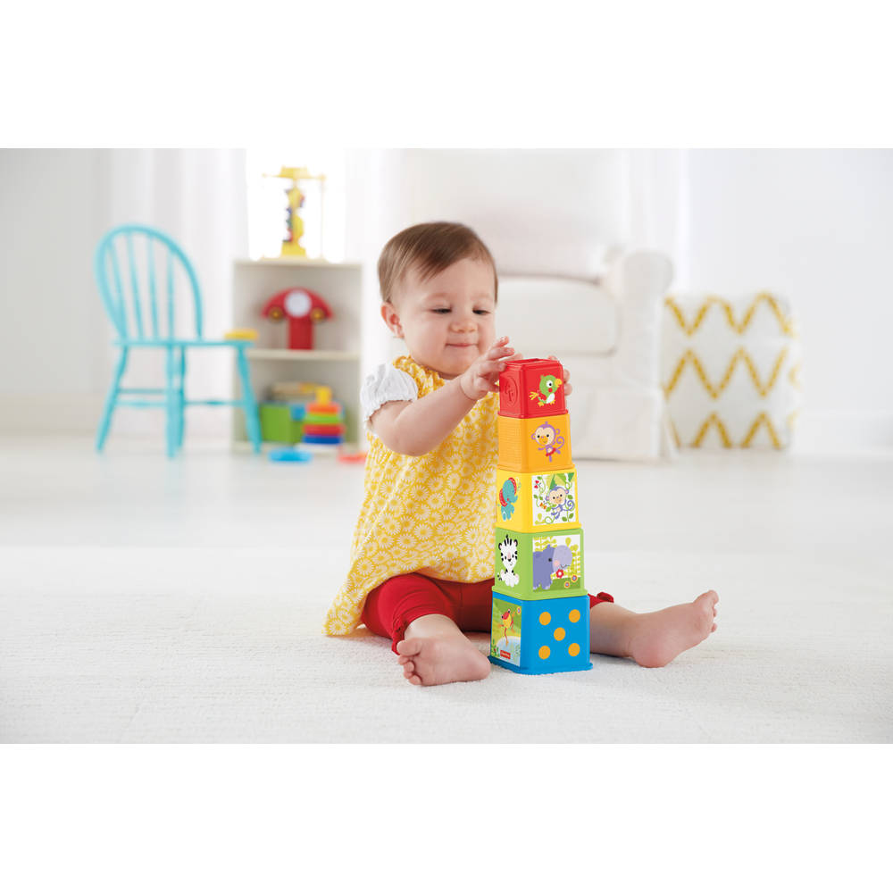 Fisher-Price Stapel & Ontdek blokken