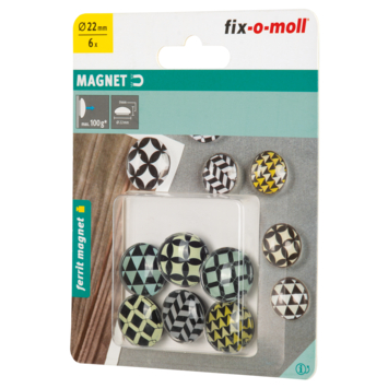 Magneet Glas Ferriet 22x9mm 6 stuks