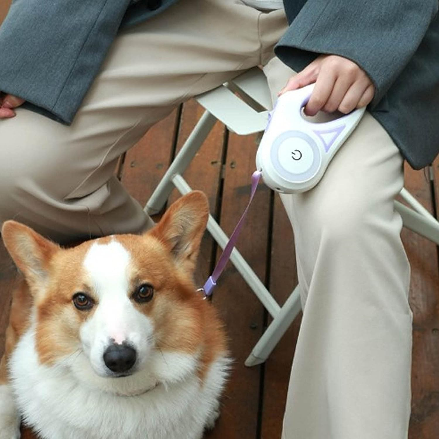 (5m) Einziehbare Hunde Leine mit Taschenlampe Rollleine inkl. LED Farbwechsel Beleuchtung (Batteriebetrieben) - Weiss / Lila