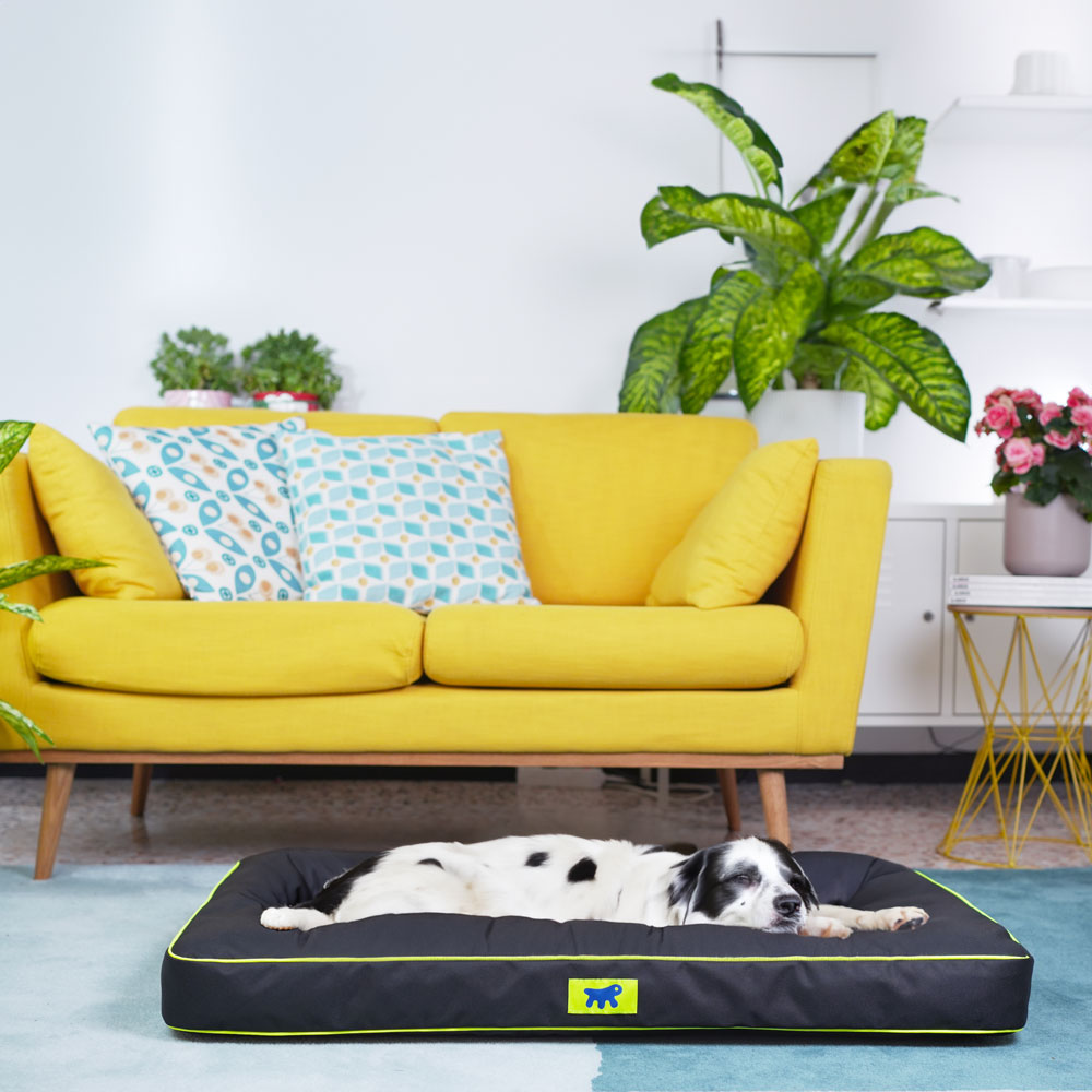 Ferplast panier chien chat - coussin orthopédique chien - lavable en machine - tapis chien - lit chat chien - imperméable &