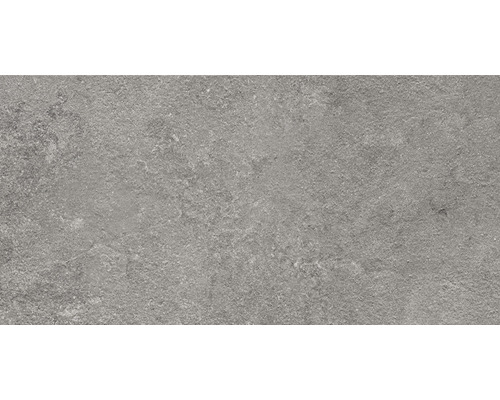 FLAIRSTONE porseleinen terrastegel Luna Silver gerectificeerde rand 100 x 50 x 2 cm