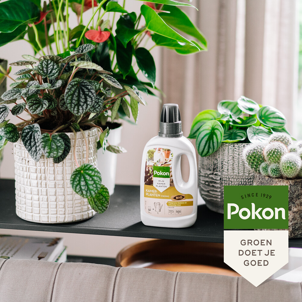Pokon Bio Kamerplanten Voeding 500 ml
