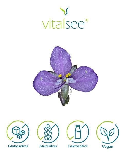 Vitalsee MURDANNIA loriformis 300 Extrakt