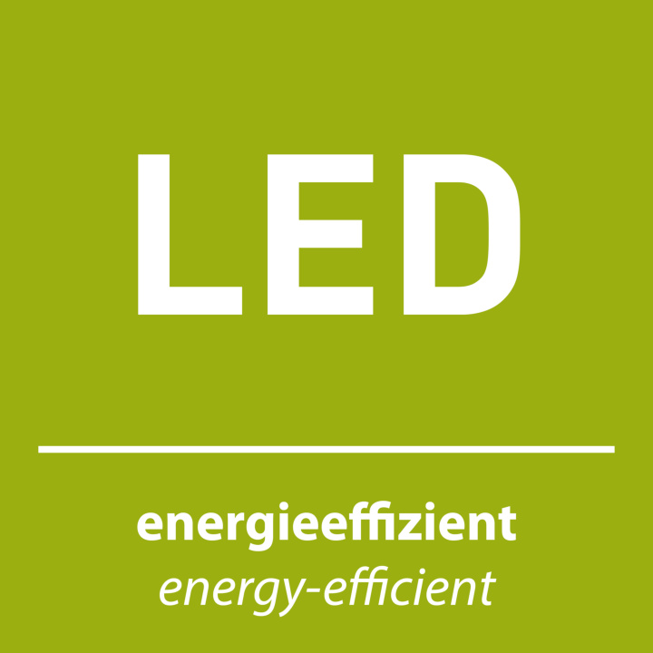 Tischleuchte MAX LED