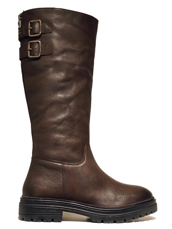 Maruti 66.1856.01 D00 BROWN