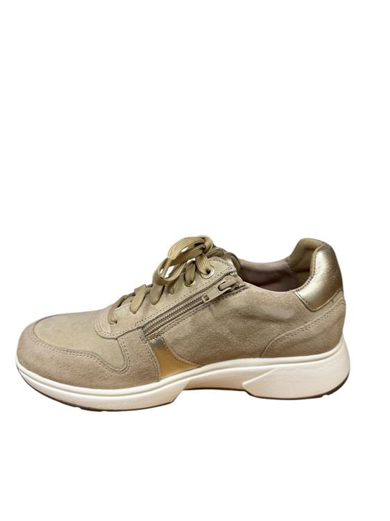 Xsensible 30228.2 Modena Beige