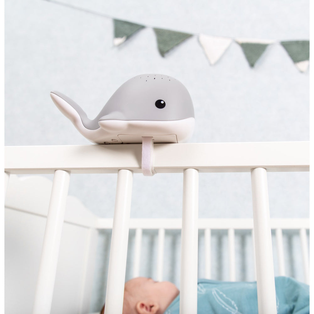 Køb Zazu Grey Wally The Whale Projector