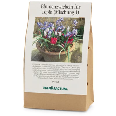 Blumenzwiebeln für Töpfe Mischung 1