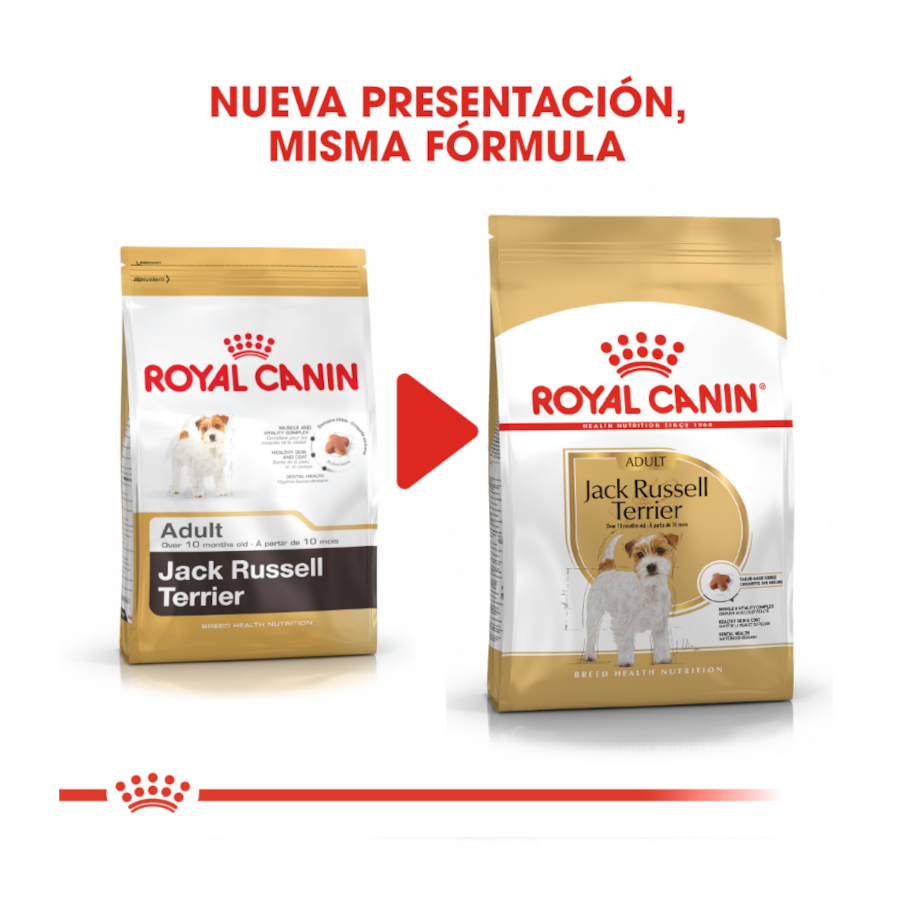 Ração Royal Canin para cães adultos da raça Jack Russell Terrier