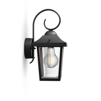 Philips buitenlamp Buzzard zwart