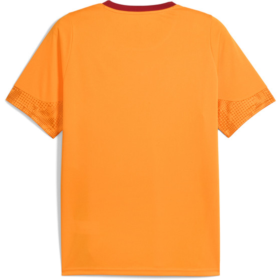 Puma Galatasaray Training Shirt 2025/2026