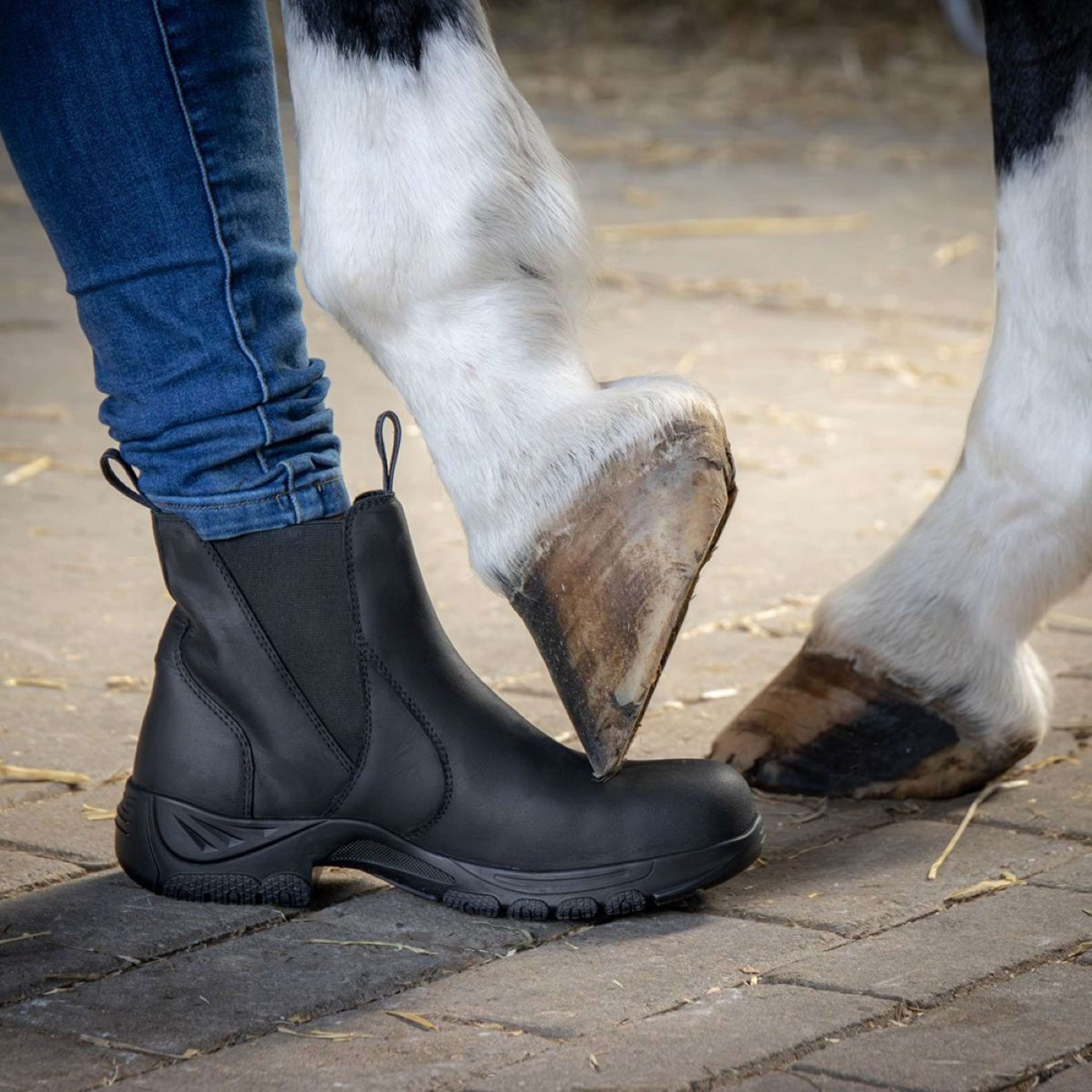 Harry's Horse Stalschoenen Leder Safety Steel Toe Zwart