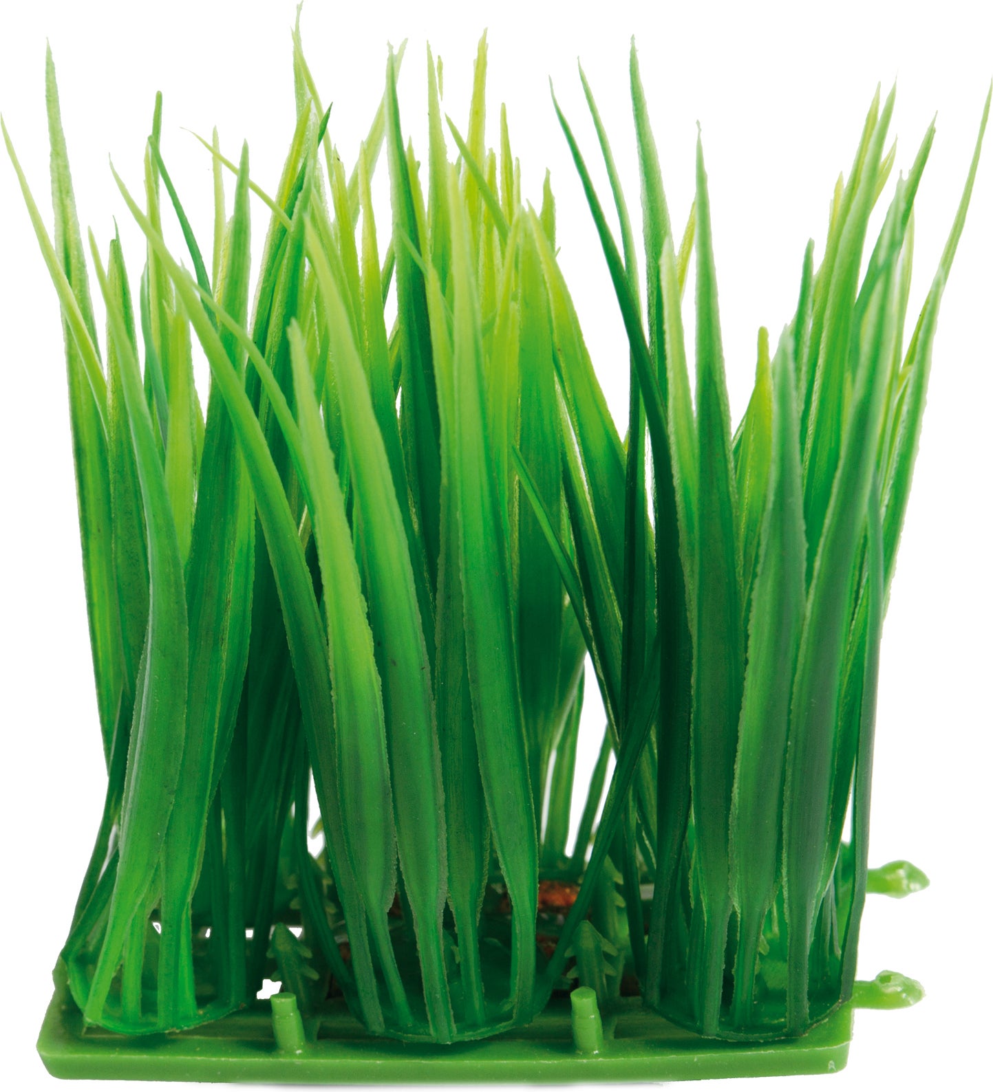SuperFish aquarium kunstplant Easy Plants carpet L groen 8 x 4,5 x 6 cm