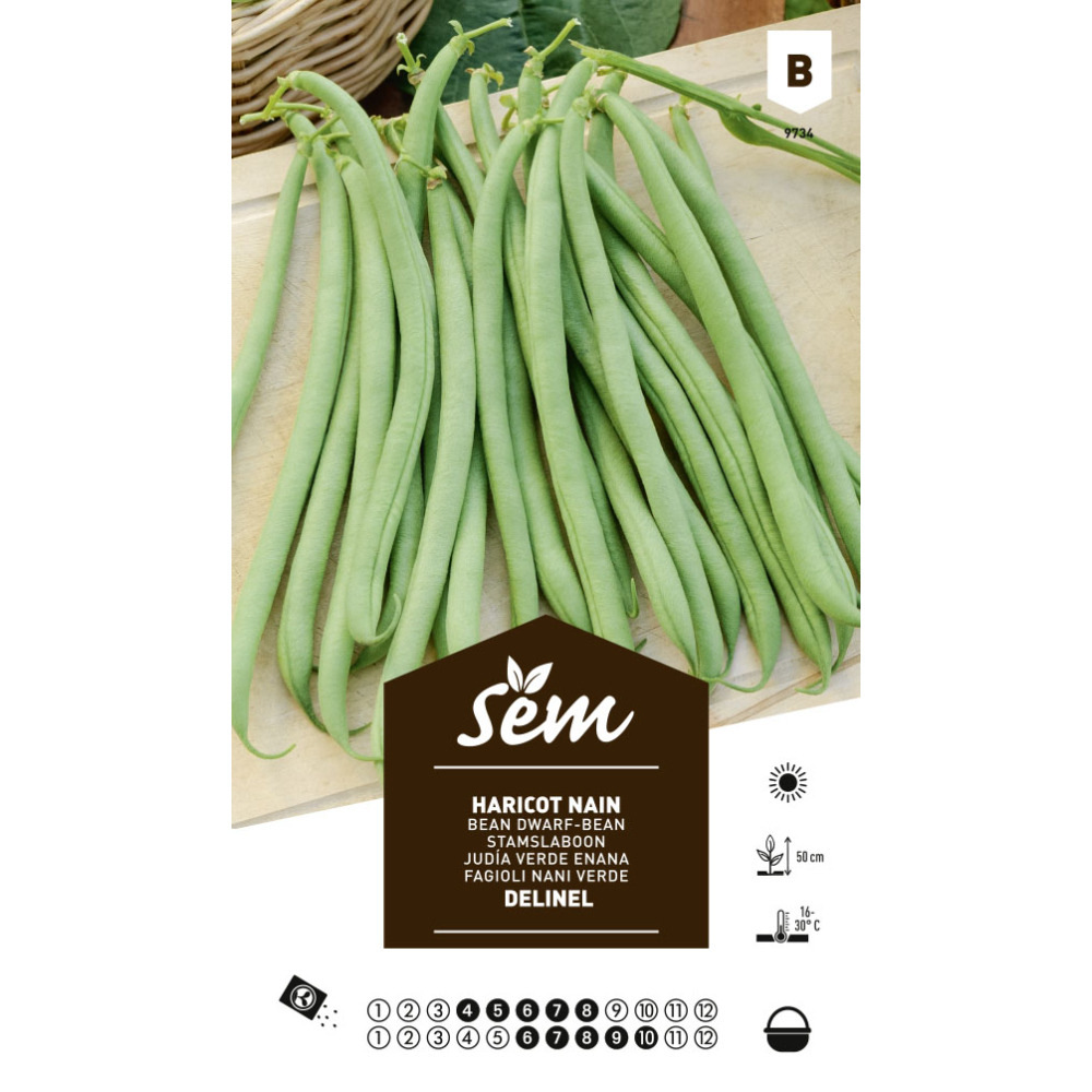 Graines potagères haricot delinel nain mangetout