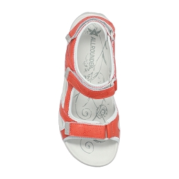 larisa  METBUCK 01/06 clay  RED