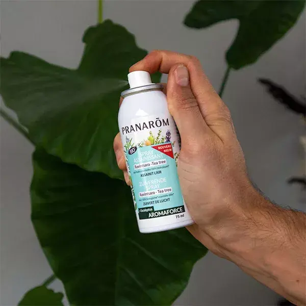 Pranarom Aromaforce Spray Higienizante Ravintsara Tea Tree Orgânico 75ml