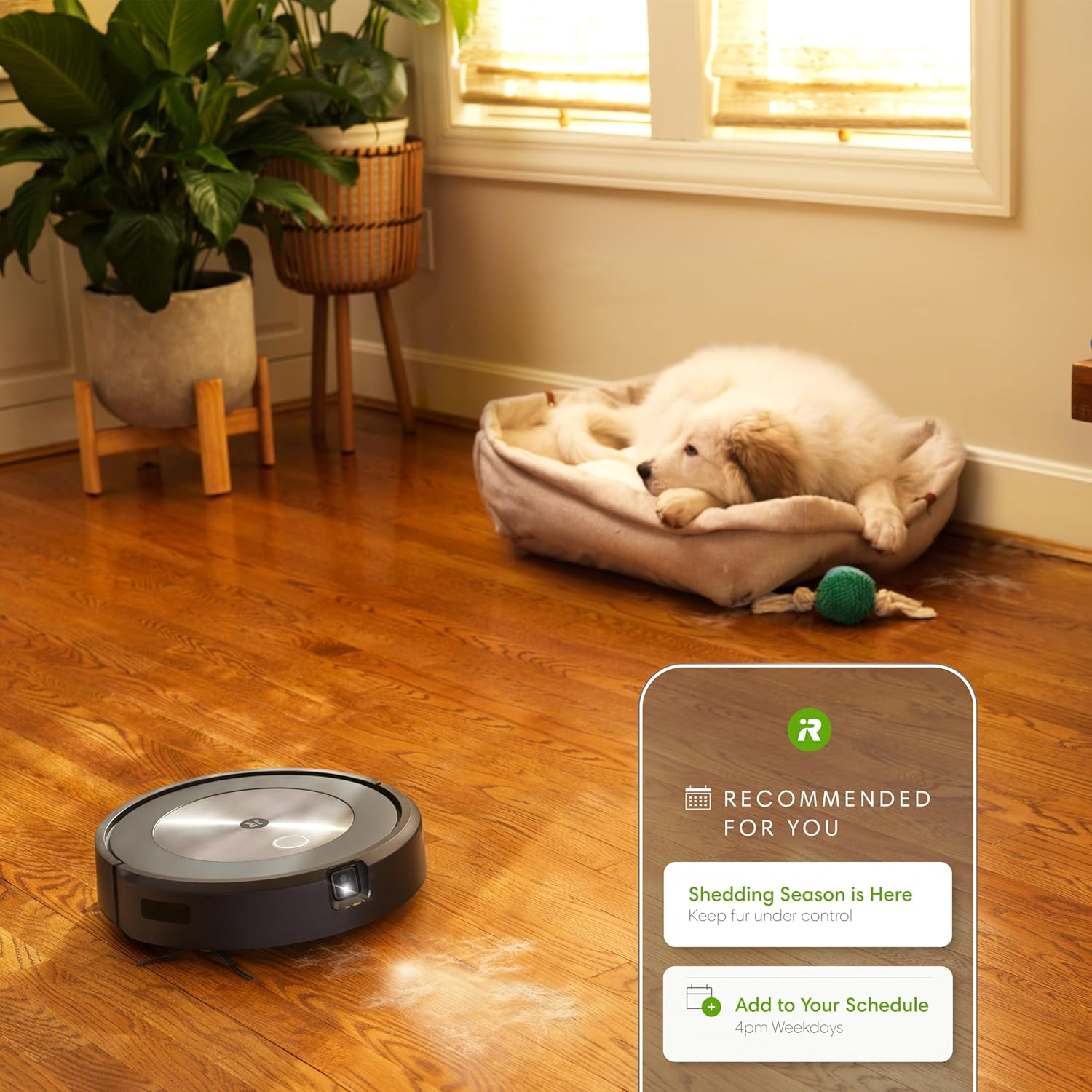 iRobot Roomba j7 (j7156) WLAN-fähiger Saugroboter mit Objekterkennung und -vermeidung, Kartierung, 3-Stufen-Reinigung, gezielte Raum- oder Bereichsreinigung, Sprachassistent kompatibel Farbe: Espresso