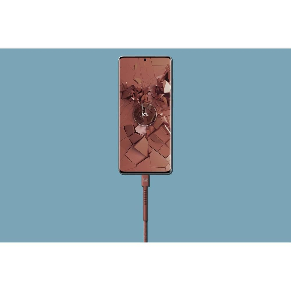 (2m) USB C auf USB C Nylon Ladekabel Fast Charge Datenkabel (2CCC200SR) - Safari Red