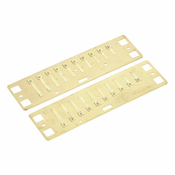 Lee Oskar Harmonic Minor Reedplates D