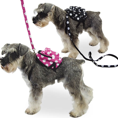 Mochila para cães pequenos, mochila preta com bolinhas.