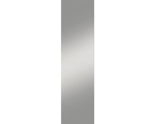 Deurspiegel Touch 45x170 cm incl. plakband, spiegeldikte 3 mm