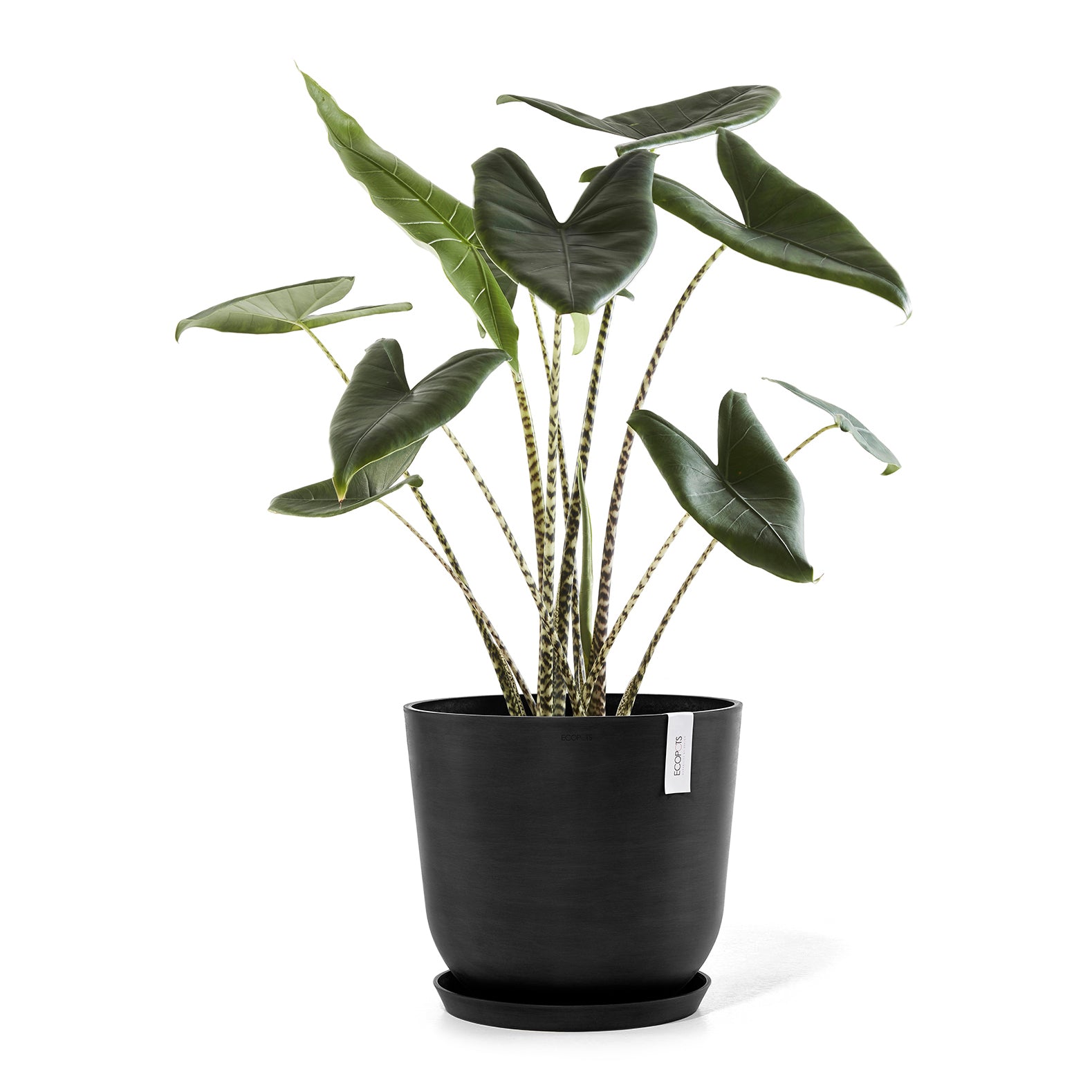 Ecopots Oslo Bloempot Ã 45 cm - Donkergrijs