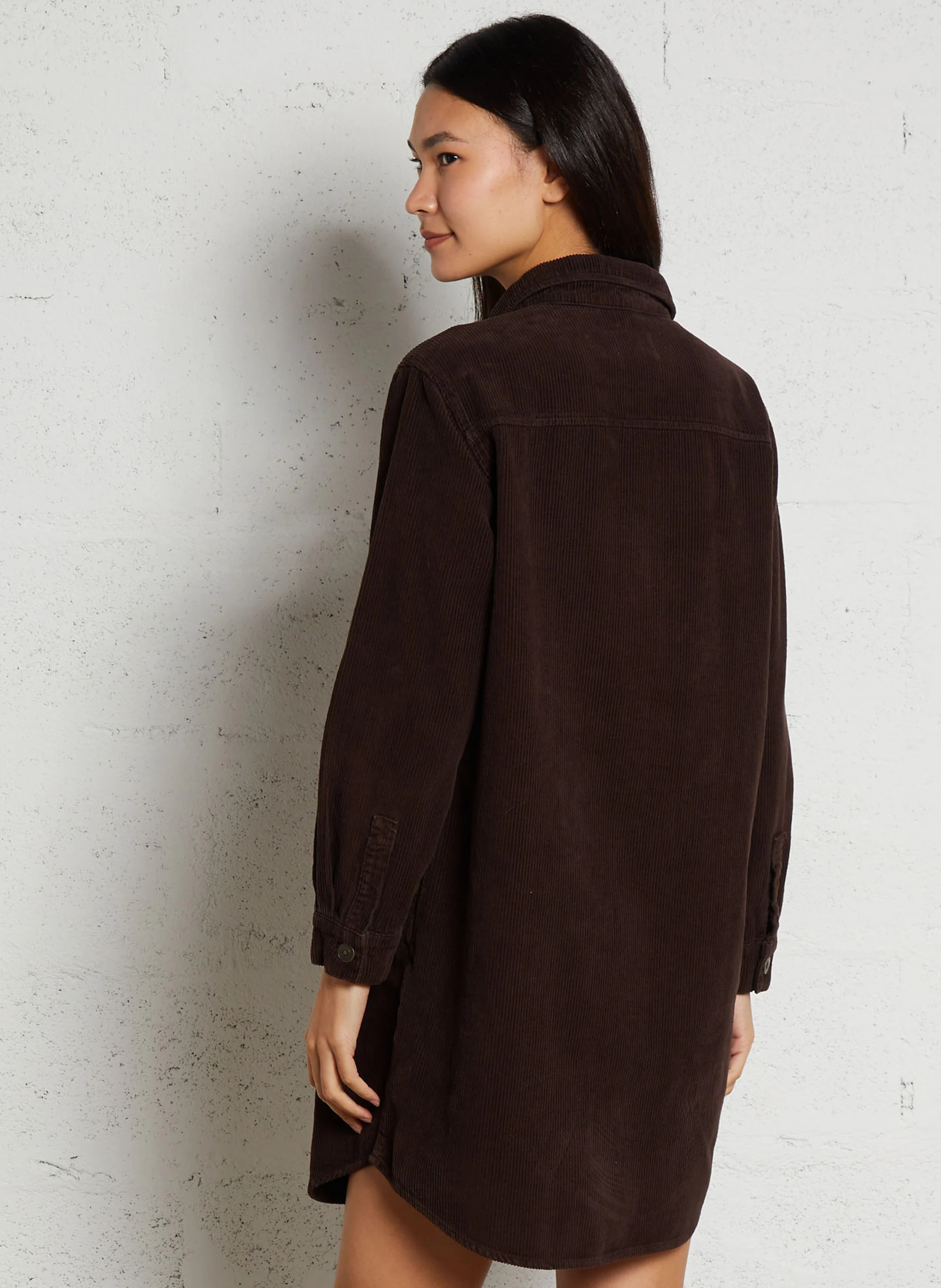 CENDRA - Robe courte col classique en coton | Marron
