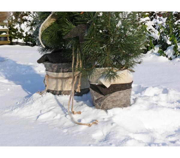 Videx Winterschutz Schafwoll-Wickelband, ca.