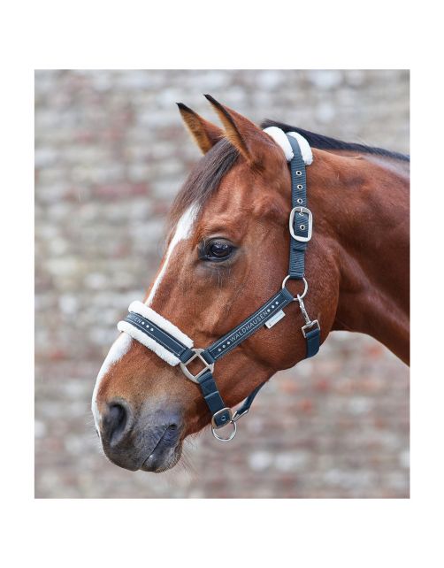 Waldhausen Halter Elegant - Paardenhalster - Blauw Pony