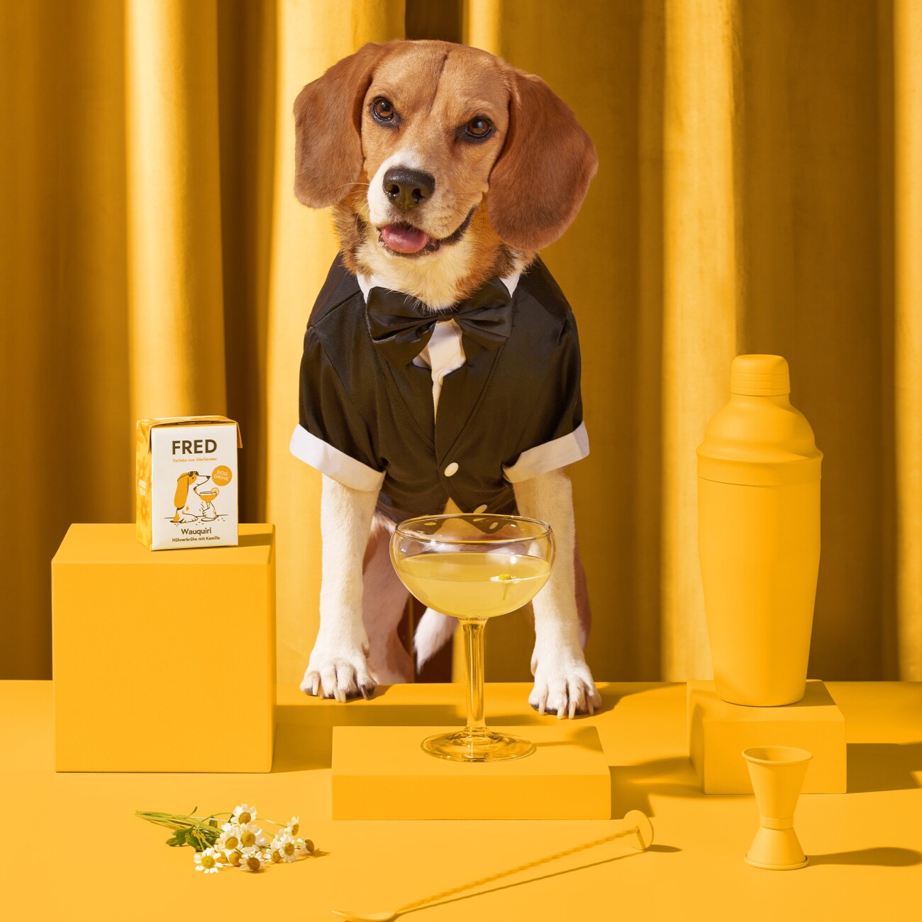 Fred & Felia FRED Dog Drink 