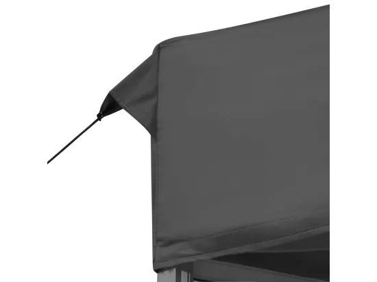 Tente de réception pliable Aluminium 6 x 3 m Anthracite