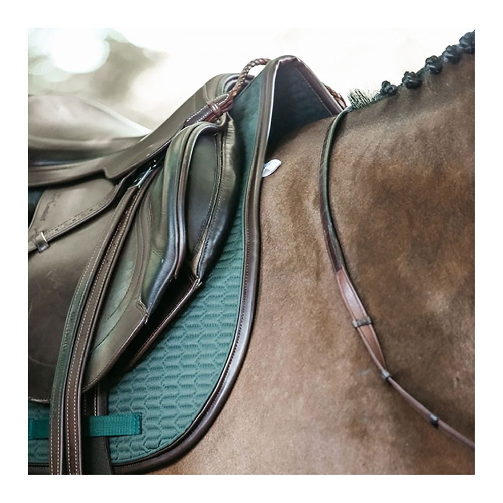 Kentucky COLOR EDITION LEATHER - Tapis d'obstacle olive green