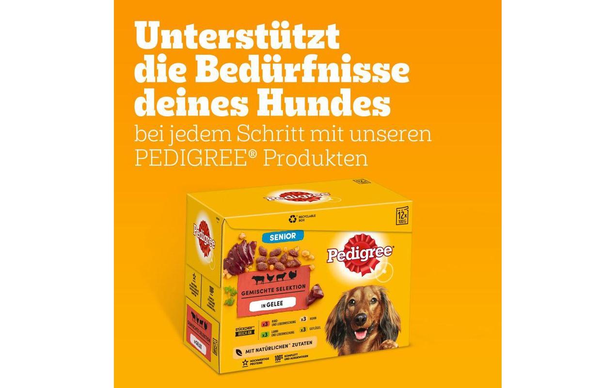 Nassfutter Senior in Gelee, 12 x 100 gAusgewogene Mahlzeiten für ältere Hunde