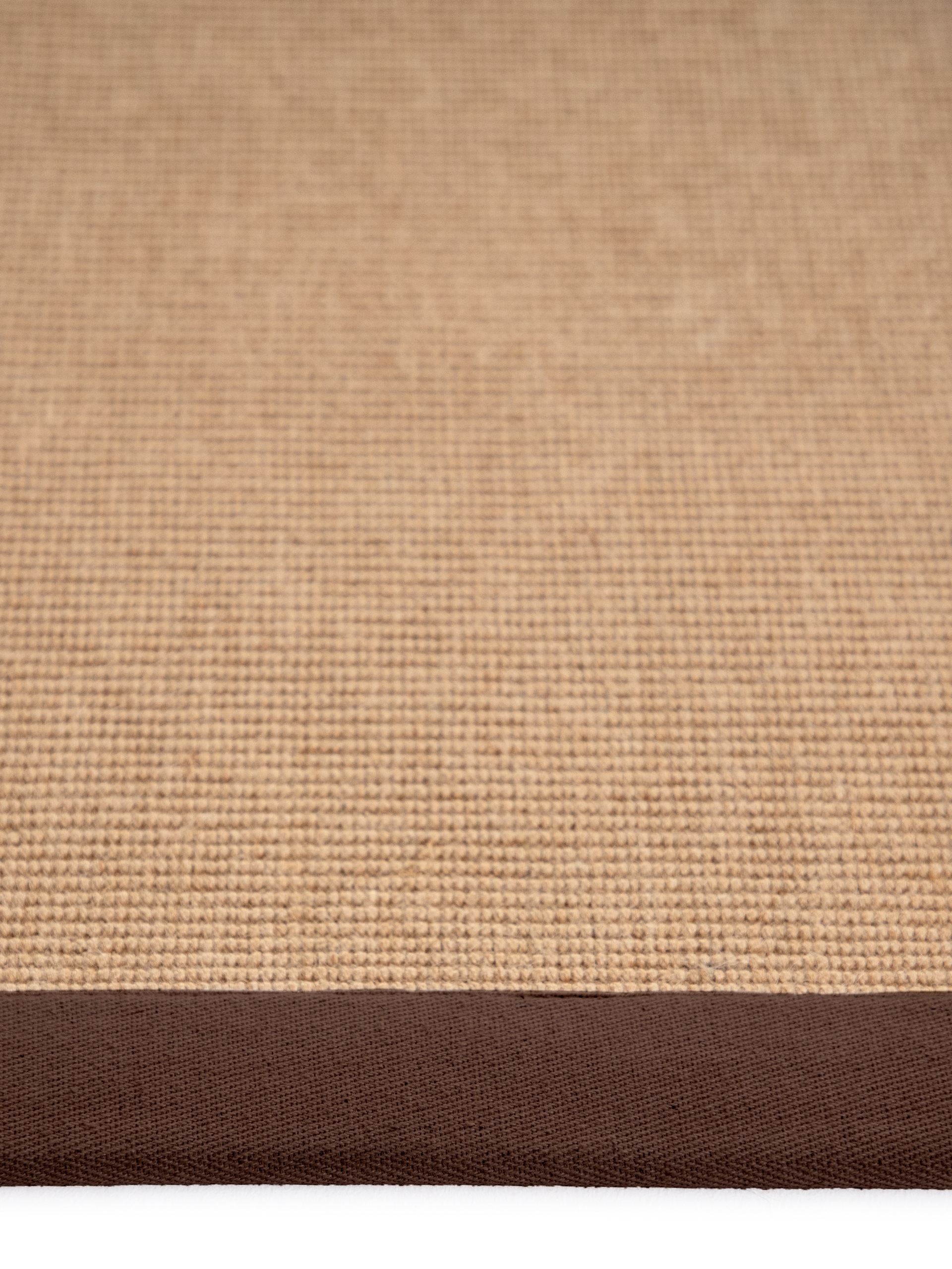 carpetfine Sisalteppich »Sisal  ,    auch als Läufer erhältlich« rechteckig 5 mm Höhe mit farbiger Bordüre, Anti Rutsch Rückseite, viele Grössen, Wohnzimmer